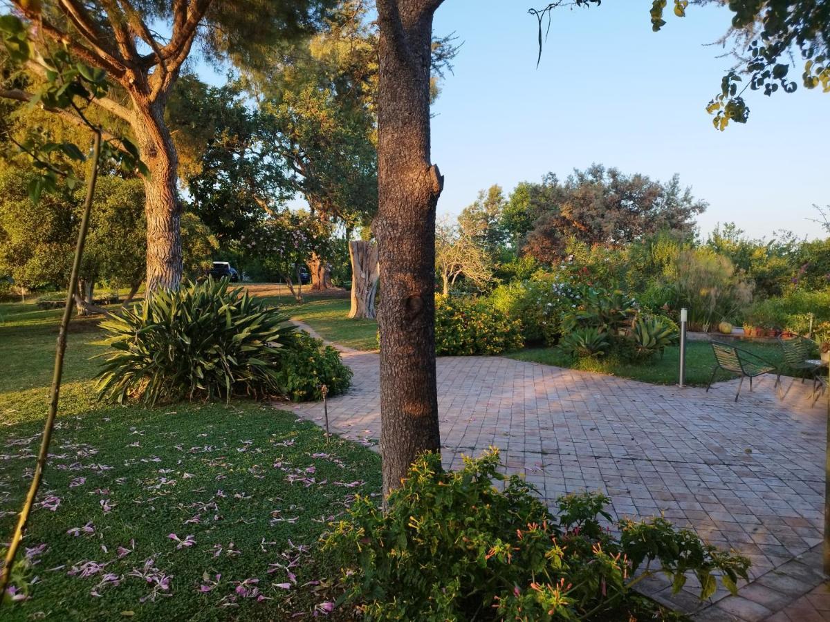 אסראלה Saja Country House מראה חיצוני תמונה